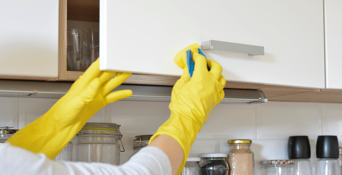 Rosales's Cleaning 